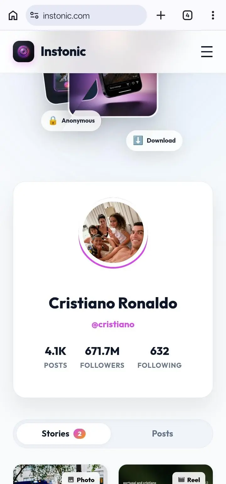 View Instagram profile details anonymously